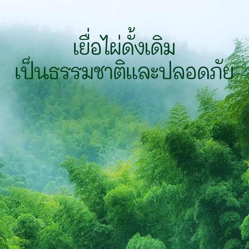 ความหนา 4 ชั้นและความเหนียวนุ่ม ซับน้ำดีของทิชชู่ Sipiao